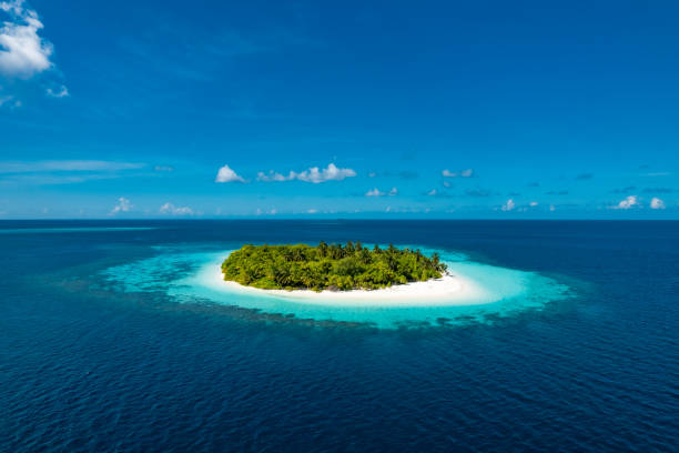 What Is Interesting About Beevitius Islands?